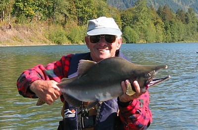 Jerry with a Skagit River Pink Salmon